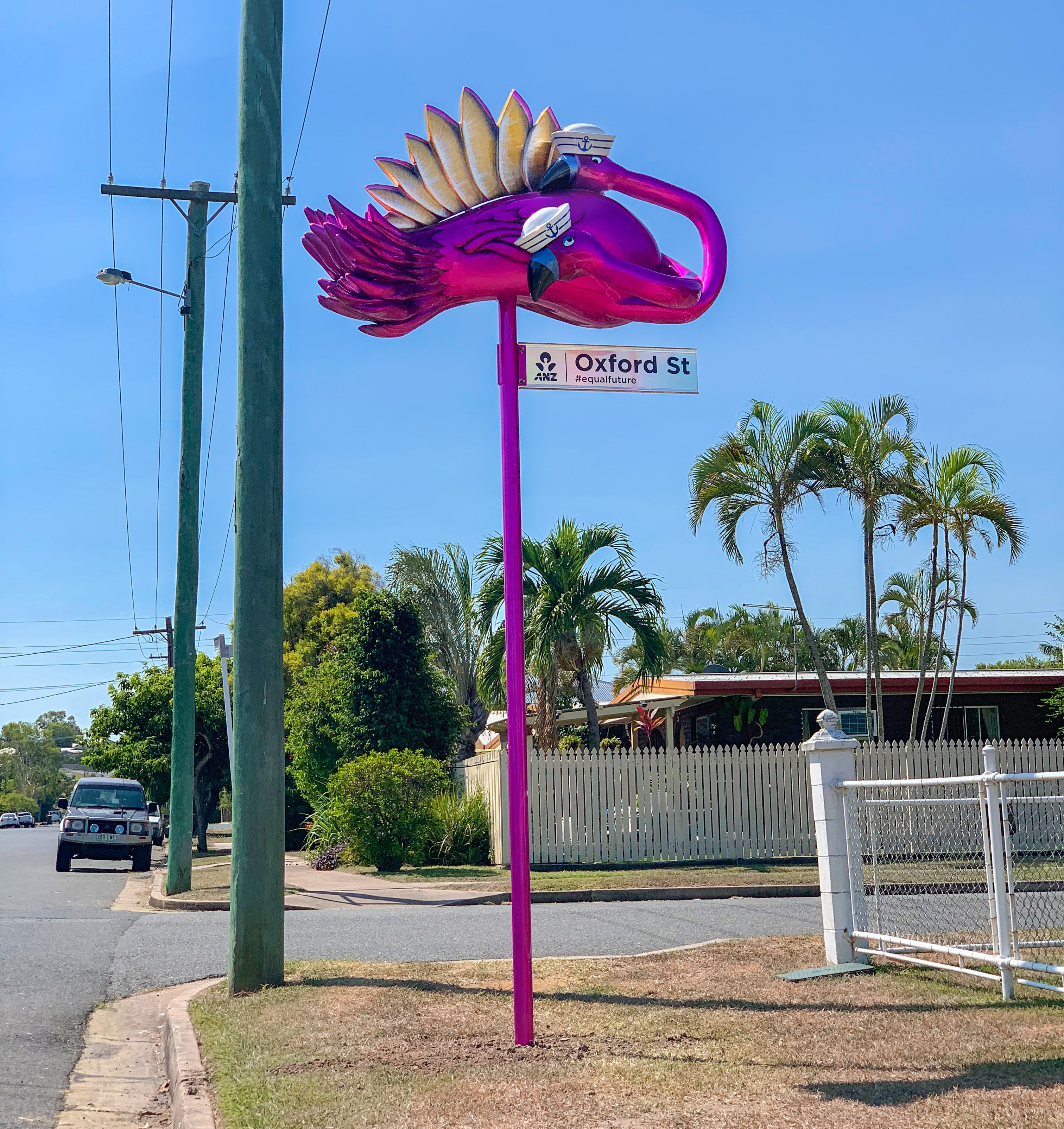‘Pink FlaminGo-Go’ - Rockhampton, QLD
